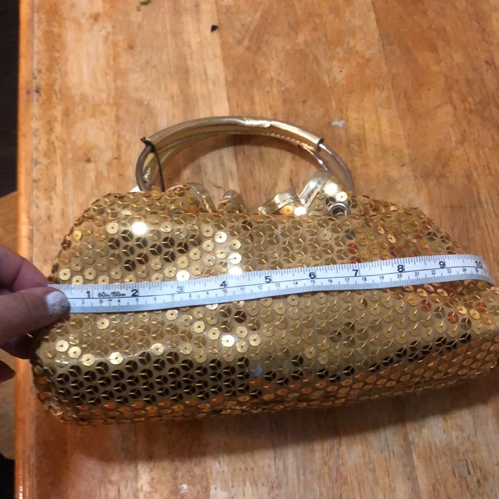Sasha nwt clutch